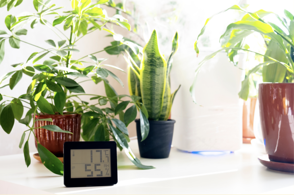 hygrometer on surface surrounded by indoor plants displaying 17 degrees celcius and 55 percent humidity placed on surface surrounded by indoor plants